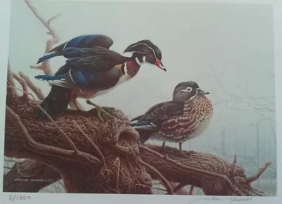 Print Wood Duck Canada First Competition Gold Ed 1990 Michael Dumas • $82.50