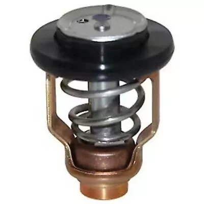 Boat Thermostat For Yamaha Outboard Motor F225 F250 300HP 4.2L V6 6CE-12411-00 • $24.50