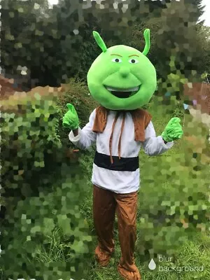 £80 • Buy Shrek Costume Adult