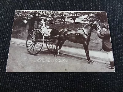 Social History Postcard Actress Mrs Lewis Waller In Horse & Cart - 85960 • £3
