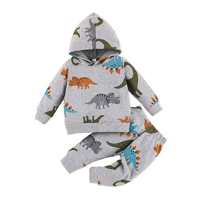 2Pcs Kids Toddler Boys Dinosaur Hooded Tops Pants Set Tracksuit Outfits Clothes • £10.59