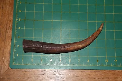 Elk Tine #1 Antler Knife Handle / Sheds Antlers Whitetail Deer Dog Chew 417 • $8