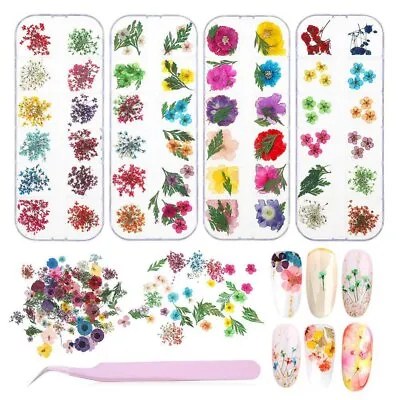 12 Colors Dried Flower 3D Nail Art Decor Natural Dry Flowers Nail Art Manicure • $18.04