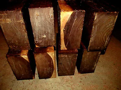 Six (6) Walnut Bowl Blanks Lathe Turning Block Wood Lumber 5  X 5  X 3  • $59.95