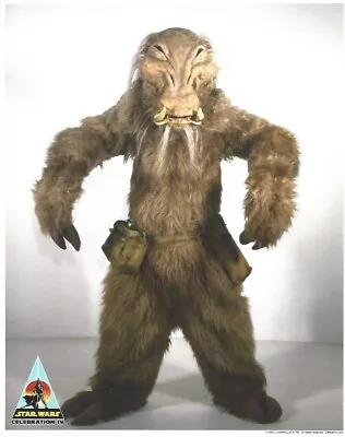 £24.17 • Buy J'Quille Tim Dry Official Pix 8x10 Licensed Star Wars Photo Celebration IV