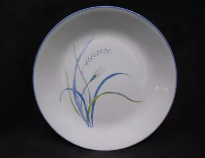 1 Corelle COASTAL BREEZE Sandstone SMOOTH COUPE DINNER PLATE *Ocean Blue Green • $8.99