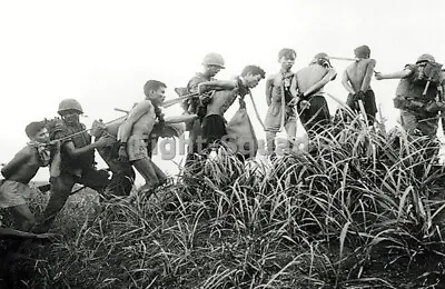 Vietnam War Photo American Soldiers Lead Away Captured Vietcong Fighters 2959 • $5.95