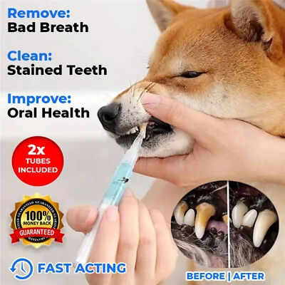 New Pet Teeth Cleaning Repair & Whitening Kit Pen Dog Cat Tartar Dental Stone • $29.95