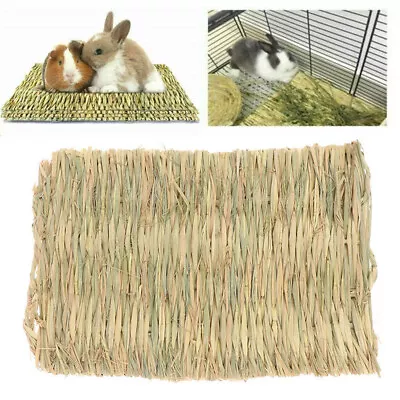 Pet Animal Hamster Mat Grass Chew Breakers Rabbit Rat Guinea Pig House Pad Toys • £3.89