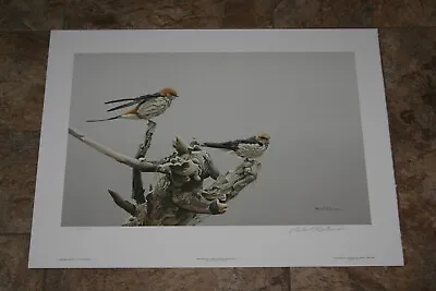 $69 • Buy Robert BATEMAN Driftwood Perch Striped Swallows Signed Numbered Limited Edition
