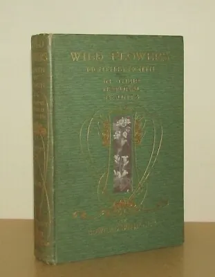 Edward Step - Wild Flowers - Month By Month (Vol 2 Only) - 1st/1st 1905 First Ed • £34.95