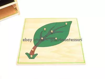 NEW Montessori Botany Material-NEW -PLYWOOD Parts Of A Leaf Puzzle • $8.89