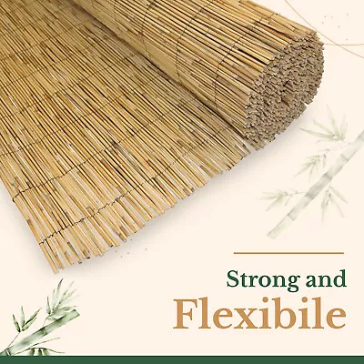 Bamboo Natural Fence Screening Panel Peeled Reed Fencing Outdoor Garden Patio 4M • £24.89