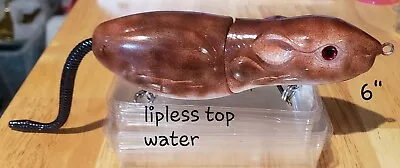 6 Inch Lipless Top Water Rat • $12