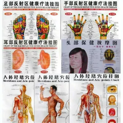 7Pcs/Set English Acupuncture Meridian Acupressure Points Posters Chart Wall Map • $10.84