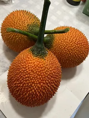 GAC FRUIT Melon Vine Momordica Cochinchinensis Seeds ( Hột Trái Gấc ) • $10