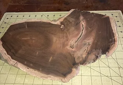One Piece Hawaiian Milo Wood~14 1/2  X 8 1/2  X 1 1/8  (#981) • $56