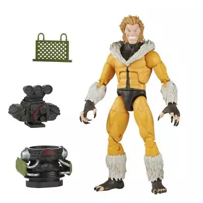 Marvel Legends Series X-Men 6-inch Sabretooth Action Figure 6-Inch Collectible • $14.99