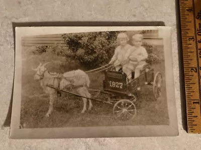 Early 1900’s Goat Pulling Childs Cart Sepia Photo 1927 Danville Adorable • $7.99