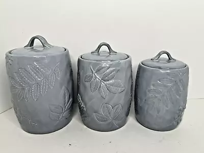 NEW Set Of 3 Pier 1 Canisters Stoneware Light Blue Seals Pottery Embossed Leaves • $60