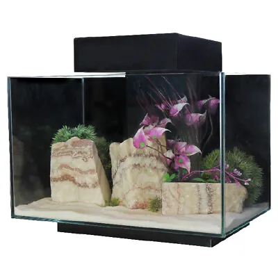 Aqua One Platform 21 Aquarium Fish Tank Black With Filter & LED Lighting Fresh • £98.95
