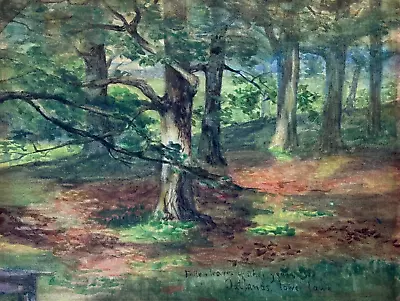 Oatlands Va Virginia Woods Park Landscape Antique Original Watercolor Painting • $25