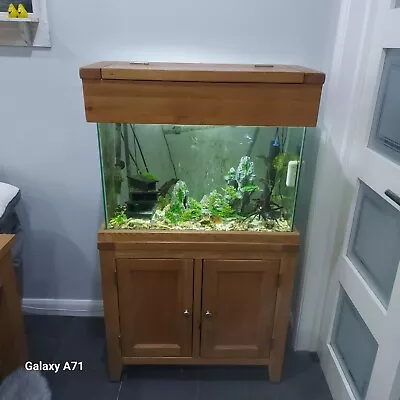 Aqua Oak Fish Tank Aquarium Blue/pink Grass Guppies • £230