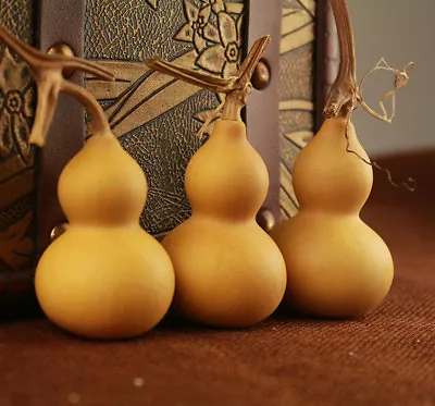$11.49 • Buy 5pcs Natural Bottle Gourds Craft Dried Cleaned Calabash Cucurbit DIY Home Decor