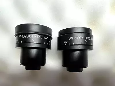 Olympus Microscope Eyepiece Pair WHS20X-H/12.5  20x Eyepieces • $300