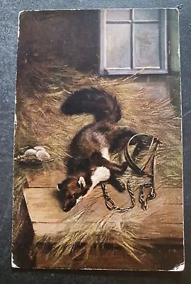 Vtg Postcard Marten In Trap Animal Serie 345 Painting Art Unposted • $9.95