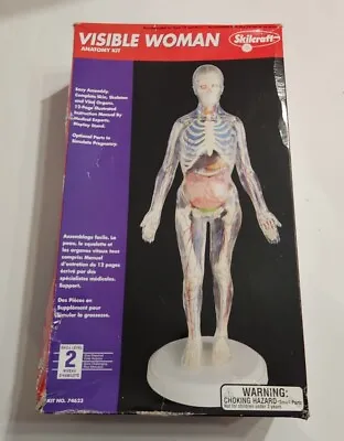 Visible Woman Anatomy Kit By Skilcraft Open Box Complete • $19.94