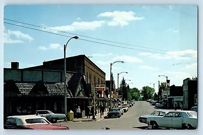 Moose Lake Minnesota Postcard Sturgeon Lake Island Exterior 1960 Vintage Antique • $29.95