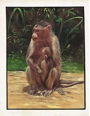 Handmade Ape Art Painting Of Monkey With His Baby Fine Art On Silk 12x15 Inches • $279.99