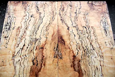 Curly Spalted Ink Line Maple Drop Top .35  Thk Guitar Bass Tonewood 2296 • $189.99