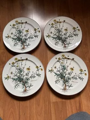 Villeroy Boch BOTANICA Anthemis Tinctoria 10.4” Dinner Plates —SET OF 4 • $99