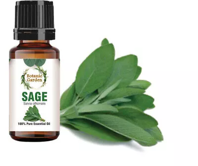 Sage Or Salvia Officinalis Essential Oil For Acne Pimples 100% Pure Oil • $365.52