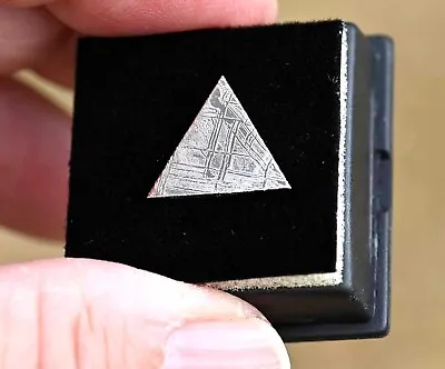 Muonionalusta Meteorite Triangle In A Display Box From Sweden • $69.99