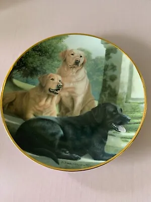 £9.99 • Buy Labrador Plate Canine Companions Nigel Hemming Franklin Mint Perfect