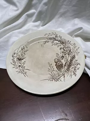 Antique Sepia Aesthetic Transfer Ironstone Ashworth Victoria BEE Luncheon Plate • $30