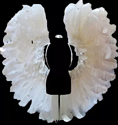 $1009.13 • Buy Da NeeNa B043N Gigantic White Ostrich Feather Victoria Angel Wings 