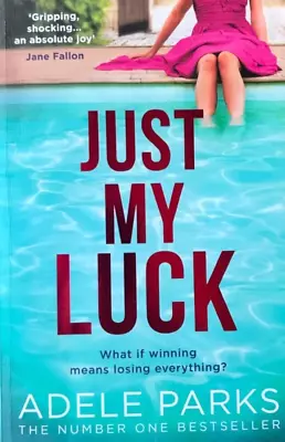 Just My Luck By Adele Parks - Large Paperback SAVE 25% Bulk Book Discount • $17