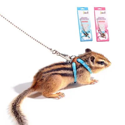 £4.79 • Buy Ferret Harness & Leads Set Adjustable For Small Animal Rabbit Guinea Pig Hamster