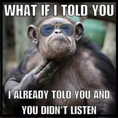 What If I Told You I Already Told You And You Didn't Listen Silly Monkey MAGNET • $4.73