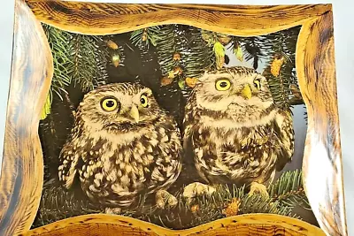 Vintage 70’s Laminated Owl Wall Art Wooden Hand Plaque Folk Art/Farmhouse • $31.99