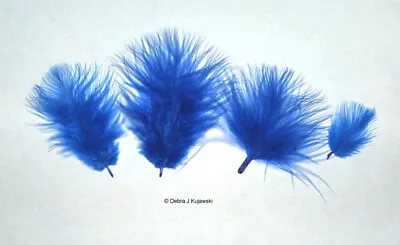 Marabou Feathers Small 1-3  Fluffs ROYAL BLUE 7 Grams Approx. 105 Per Bag • $2.65