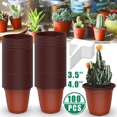 100 Plastic Plant Nursery Pots Seedling Flower Plant Container + 10 Plant Labels • $18.95