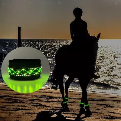 4 Pieces LED Lighting Horse Leg Strap Night Visible Safety Warning Belts Horses • £20.03