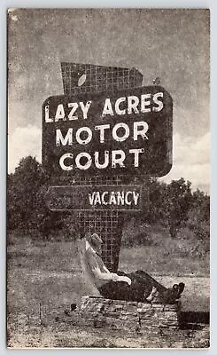 Wisconsin Rapids~Closeup Of Odd Western Googie Sign Combo~Lazy Acres Motel~1940s • $8