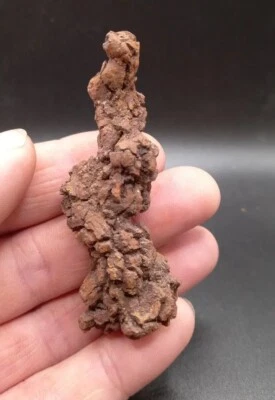 $16.16 • Buy Turtle Coprolite Fossil Poo Poop Madagascar Eocene Reptile 100% Genuine