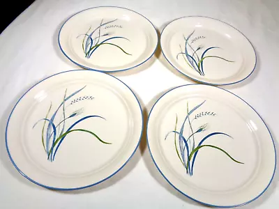 4 CORELLE COASTAL BREEZE Dinner Plates 10 1/4  Sandstone Blue & Green Flower • $36